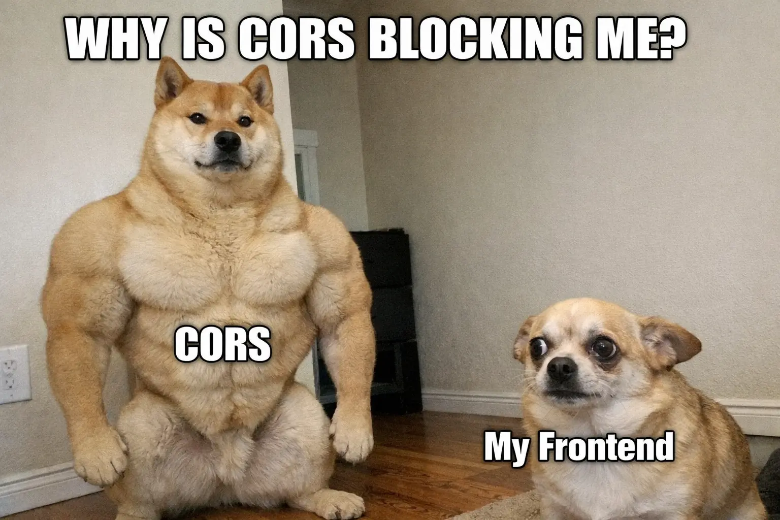 Why Your Browser Blocks Some Requests: CORS Explained Simply